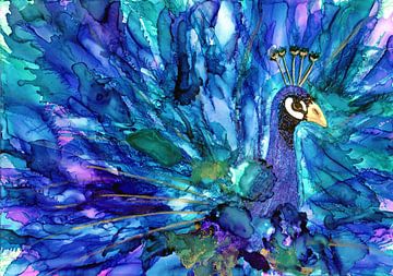 Peacock by Jolanda Berbee