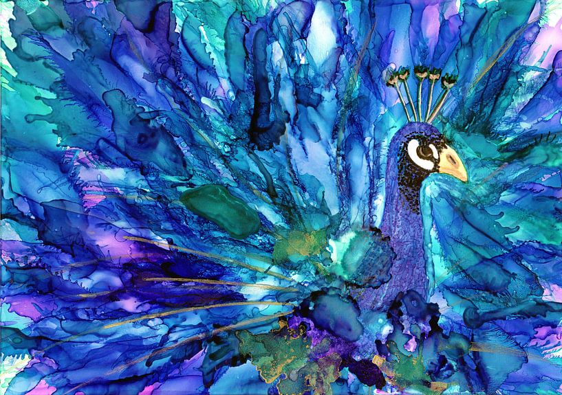 Peacock by Jolanda Berbee