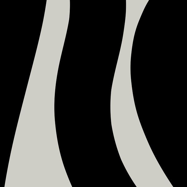 Schwarz Abstrakte Organische Geometrische Formen Nr. 5 von Dina Dankers