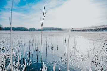 Bevoren waterplas van Nickie Fotografie