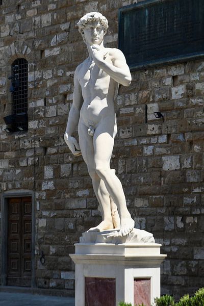 David in Florence par Hielkje Koen