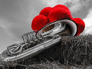 Die Tuba und der Bollenhut ART