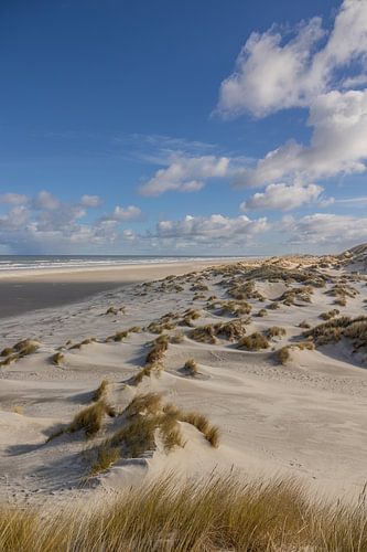 Een prachtige zonnige middag op Terschelling