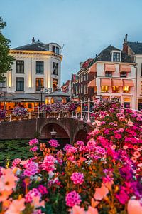 Leiden - Bloemen bij het Rapenburg (0053) van Reezyard