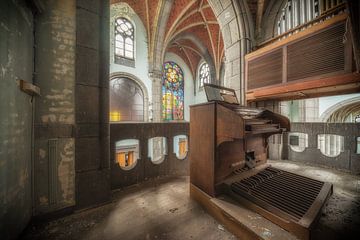 het verlaten orgel van roy colen