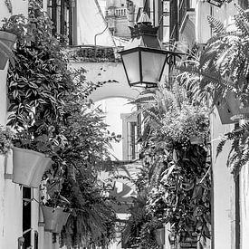 Cordoba Alstadt black and white by Manfred Voss, Black-White Photography