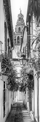Cordoba Alstadt zwart-wit