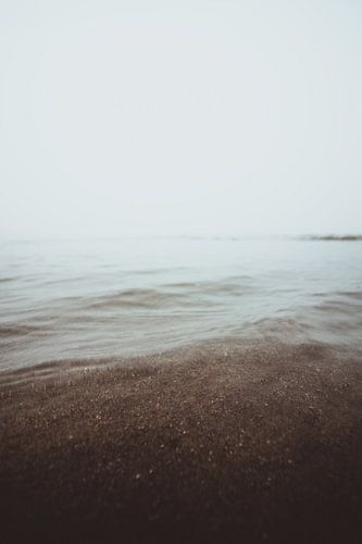 Die Brandung an einem nebligen Tag am Strand von Scheveningen