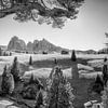 Dolomiten Seiseralm in schwarzweiß von Manfred Voss, Schwarz-weiss Fotografie