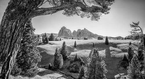 Dolomites Alpe di Siusi in black and white by Manfred Voss, Black-White Photography