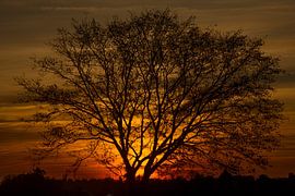 Un soleil brûlant du soir