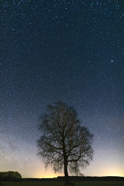Clear calm night. Milky Way across the sky. by Yevgen Belich