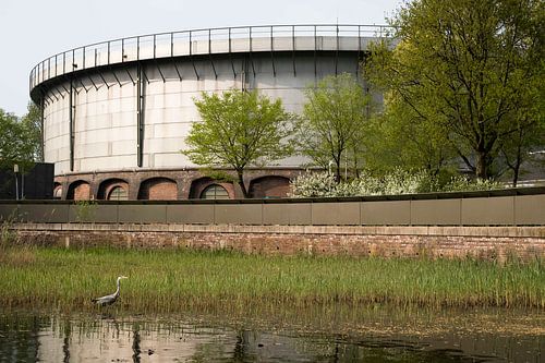 Reiher von Amsterdam im Park