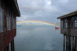 Magical Chiloé by Eefje's Images
