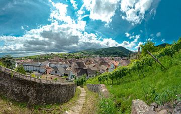 Un village au milieu des vignes, Ribeauville, Alsace, France sur Rene van der Meer
