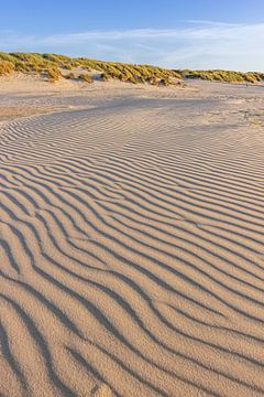 Beach and dunes on West-Terschelling by Sander Groenendijk
