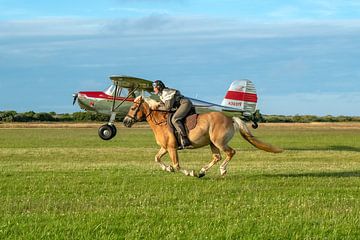 You can’t beat me von Eilandkarakters Ameland