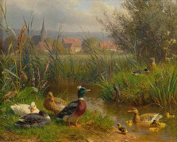 Eenden, Carl Jutz