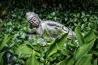 Buddha statue lying in green foliage