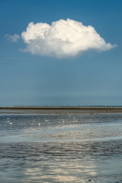 Single cloud above the Wadden Sea from the pier of PaesensModdergat by Harrie Muis