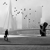 Fotografie