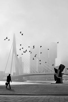 Matin brumeux - Pont Erasmus dans le brouillard (vu à vtwonen) sur Hans Zijffers