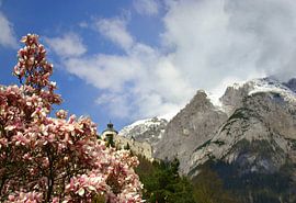Cross on the summit by Vera Laake
