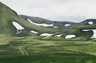 Grüne Landstriche in Island von Shanti Hesse Miniaturansicht