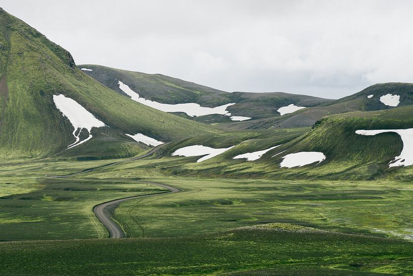 Grüne Landstriche in Island von Shanti Hesse