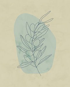 Minimalistische illustratie van een olijfboom-tak van Tanja Udelhofen