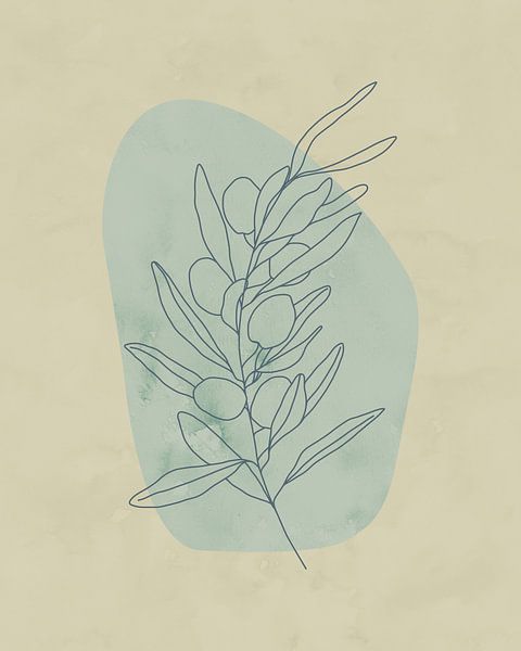 Minimalistische illustratie van een olijfboom-tak