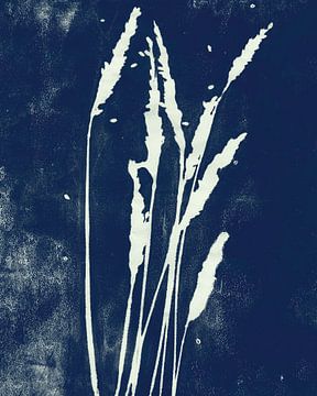 Gras bei Nacht in Retro-Blau. Botanische Illustration. von Dina Dankers