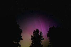 Northern Lights, Netherlands by Matthijs van Houten