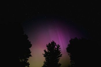 Noorderlicht, Nederland