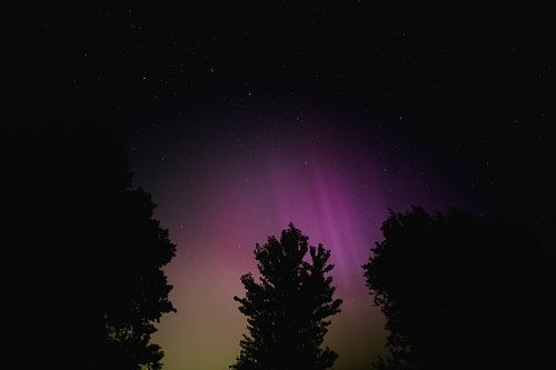 Noorderlicht, Nederland