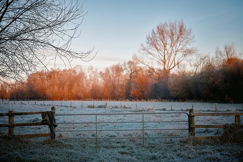 Winterpoëzie in het natuurreservaat Bünde | Deel II