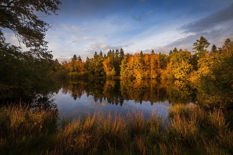 Baardwijkse Overlaat Autumn by Zwoele Plaatjes
