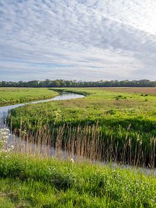 Kronkelend riviertje in omgeving Nijenburg bij Heiloo en Alkmaar van Ronald Smits