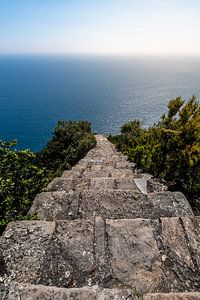 Endless Descent van Stefan Bauwens Photography