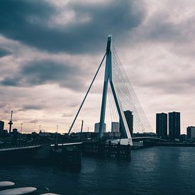 Erasmusbrug - Rotterdam von Norbert de  Krijger