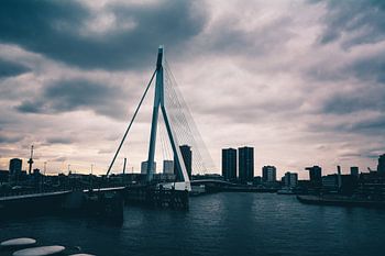Erasmusbrug - Rotterdam
