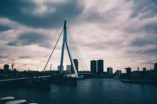 Erasmusbrug - Rotterdam