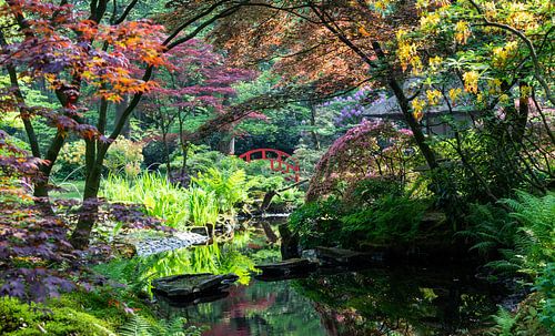 De Japanse tuin...