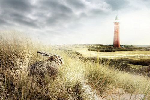 Once upon a time, there was a hare...