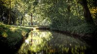 Graben in Leeghwaterpark in Purmerend von Jan van der Knaap Miniaturansicht