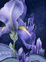 Meadow iris and amethyst