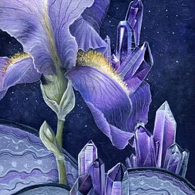 Meadow iris and amethyst by Natalia Gorst