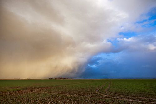 Reiderwolderpolder VI