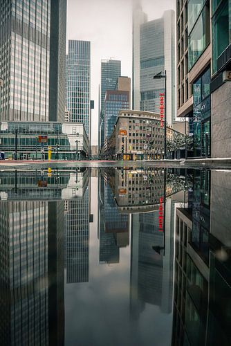 Fankfurt, weerspiegeling van de skyline in een plas