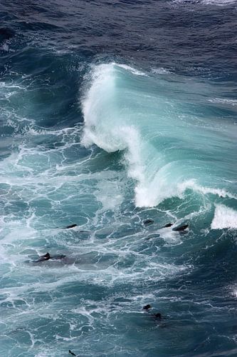 ~ w a v e ~ (02) van Meleah Fotografie